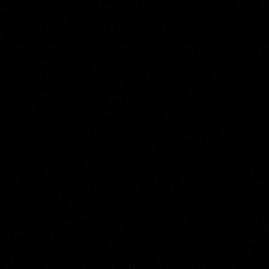 Meet your Posher, Peter